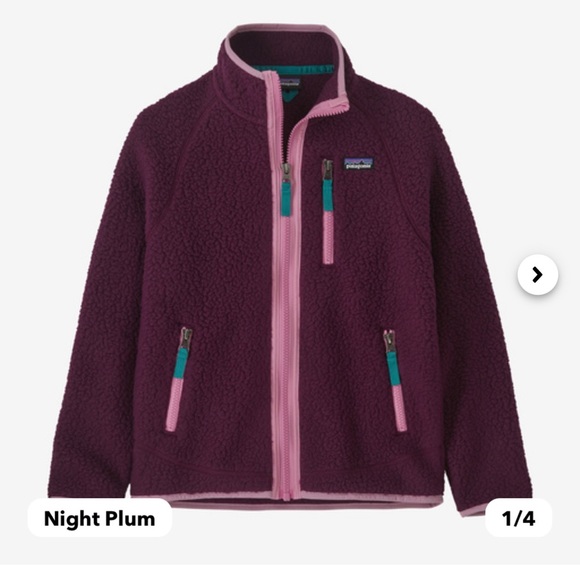 Patagonia Retro Pile Jacket - Picture 2 of 3